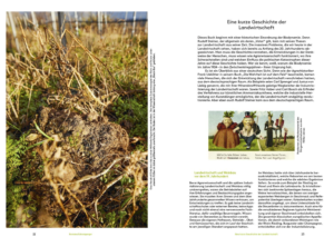 Geschichte, Buch Romana Echensperger